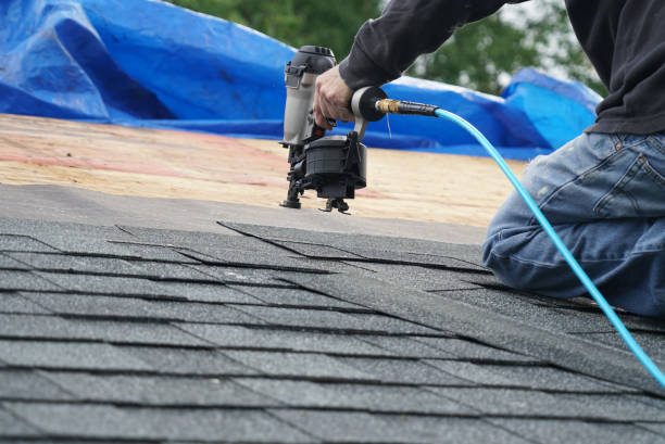 Best Roof Maintenance Services  in Marine, IL